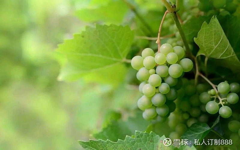 A股绿色周报｜3家上市公司暴露环境风险 仕佳光子控股公司违法排放污染物被罚