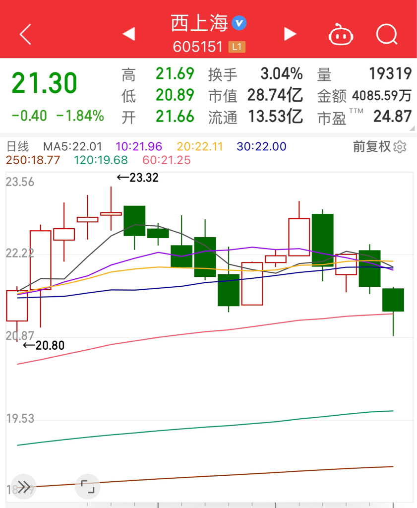西上海（605151）2026年一季报简析：营收净利润同比双双增长，盈利能力上升
