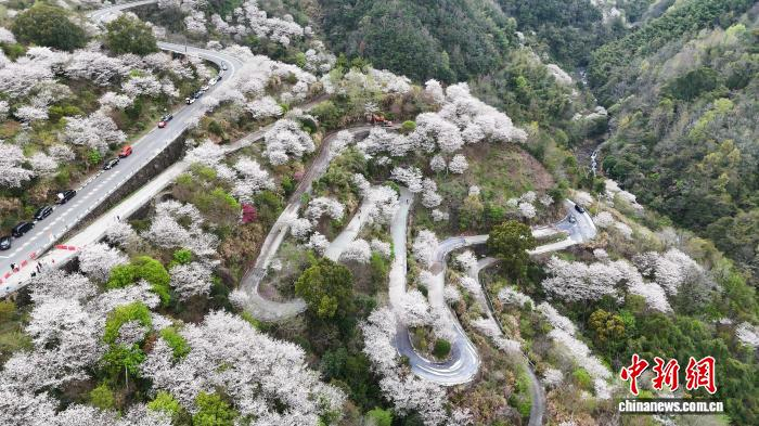 文旅观察：深耕“山与水” 浙江打造乡村旅游新场景