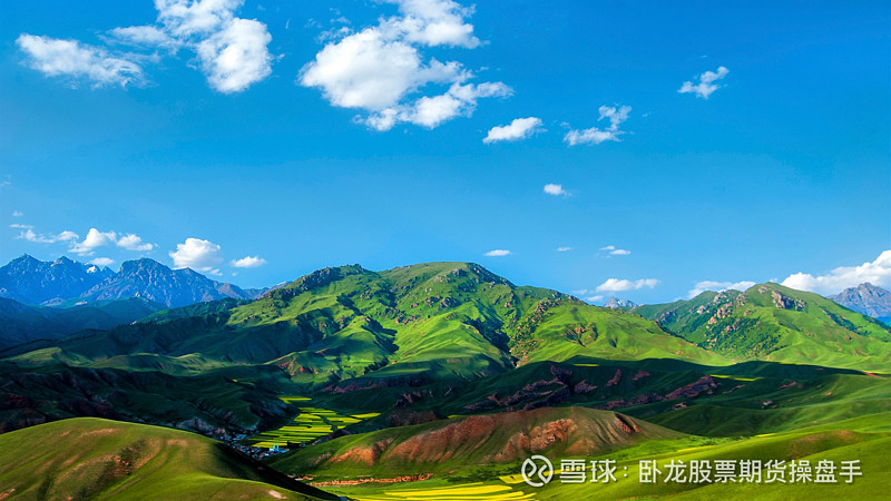 打新涉及十项违规，林园投资遭中证协“点名”
