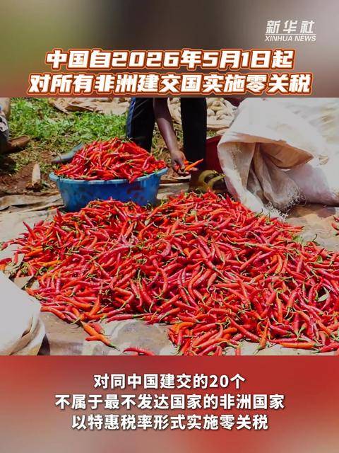 对53个非洲建交国零关税明起生效 哪些产品价格有望“打下来”？